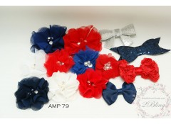 Mix Assorted pack (AMP 79) Red & Blue